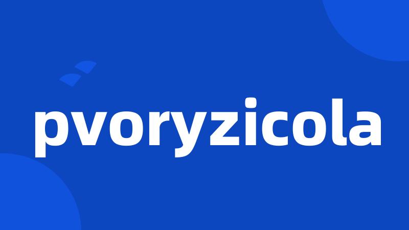 pvoryzicola