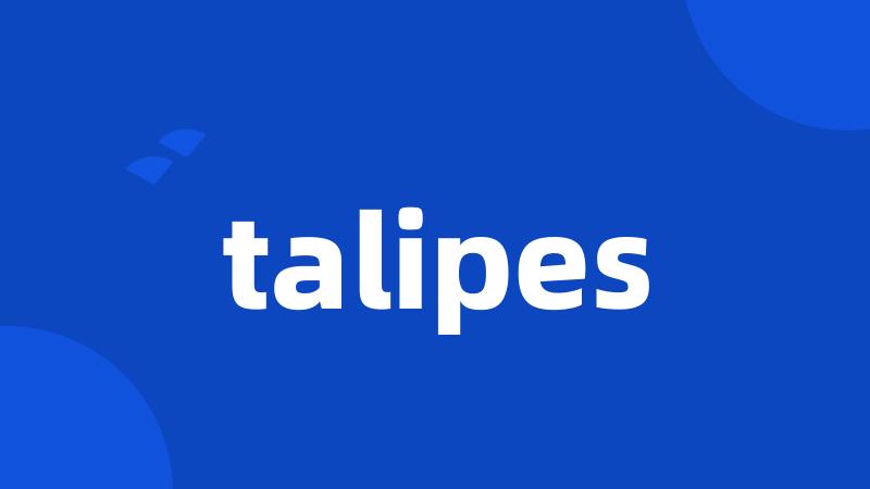 talipes