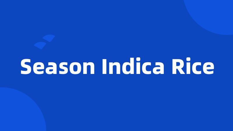 Season Indica Rice