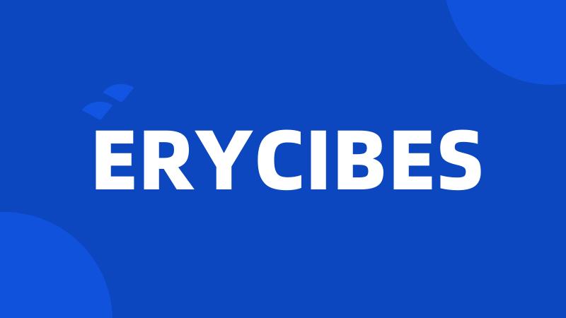 ERYCIBES