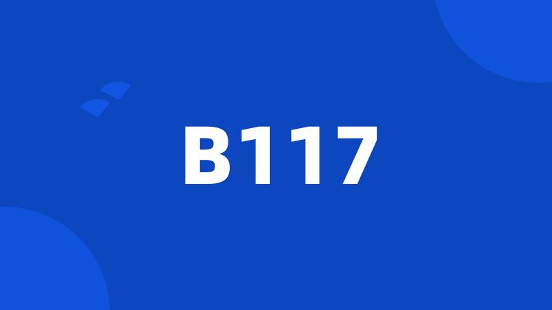 B117