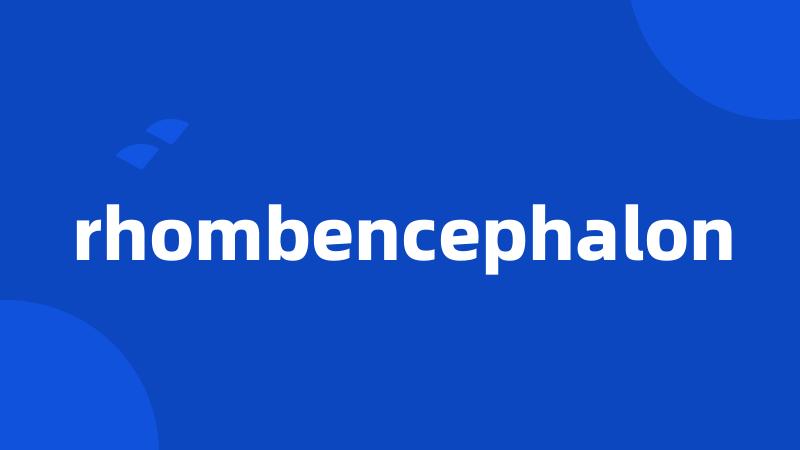 rhombencephalon