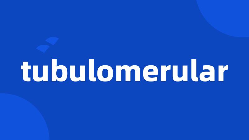 tubulomerular