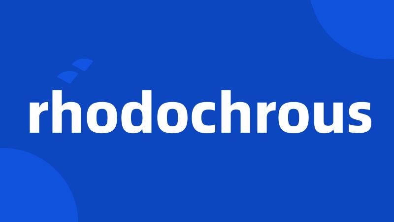 rhodochrous