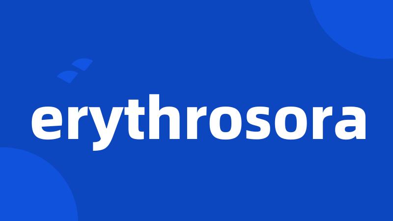 erythrosora