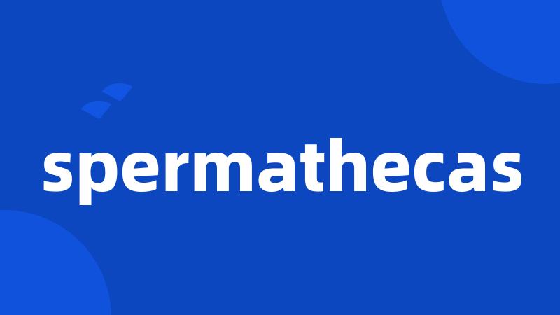 spermathecas