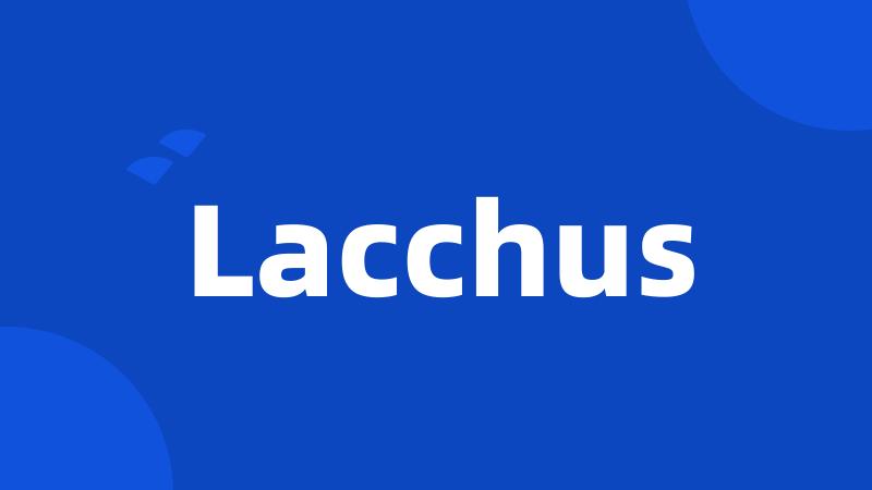 Lacchus