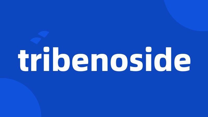 tribenoside