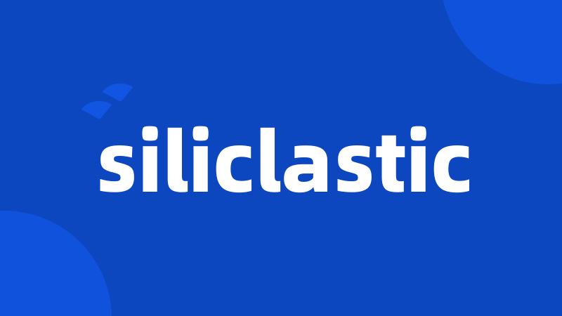 siliclastic