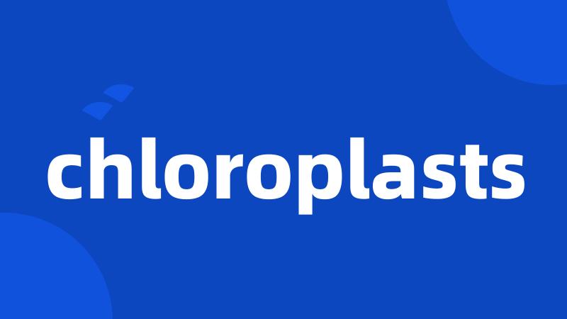 chloroplasts