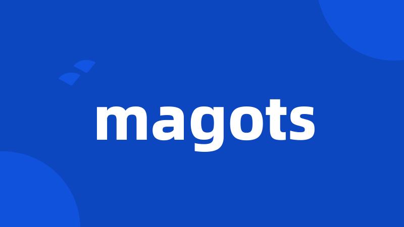 magots