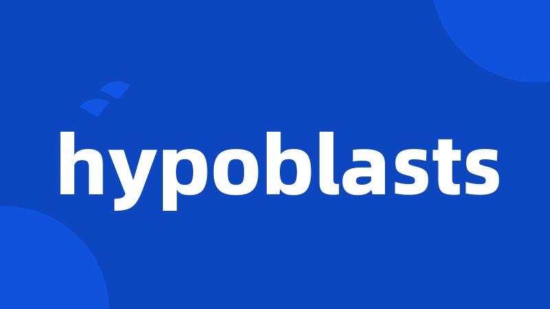 hypoblasts