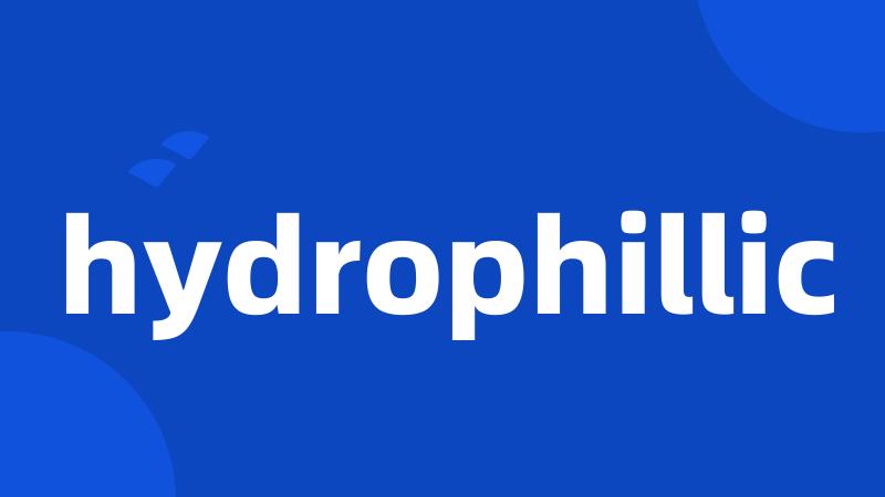 hydrophillic