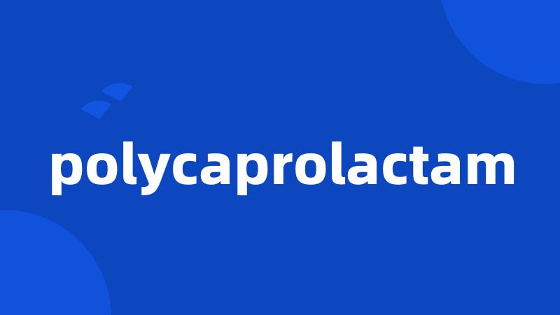 polycaprolactam