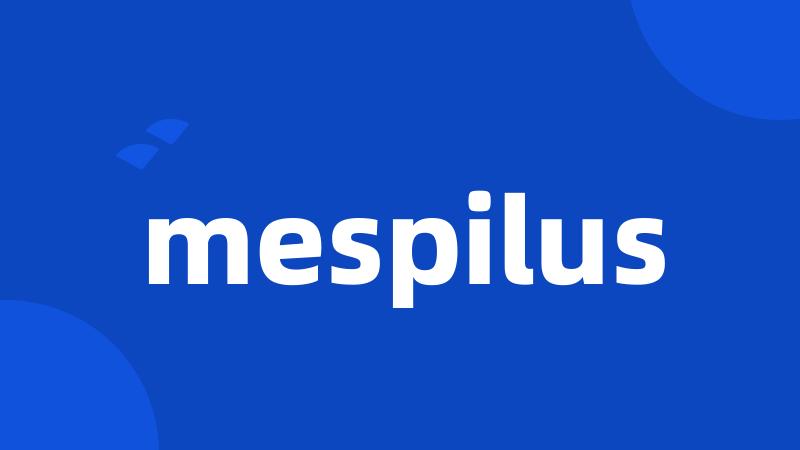 mespilus