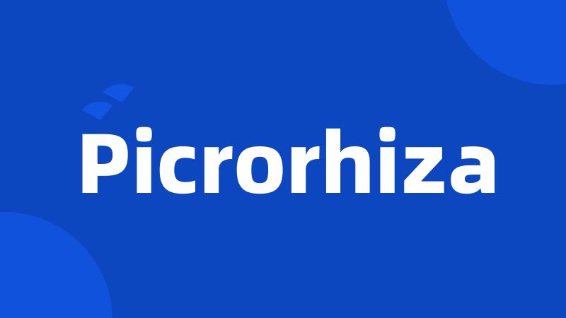 Picrorhiza