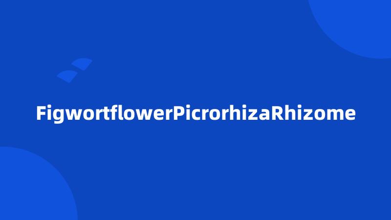 FigwortflowerPicrorhizaRhizome