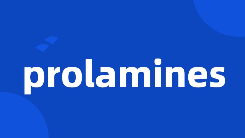 prolamines