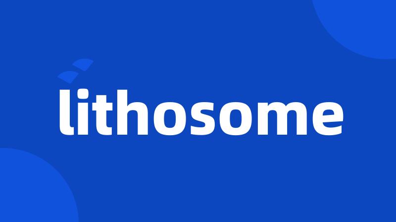 lithosome