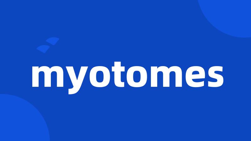 myotomes