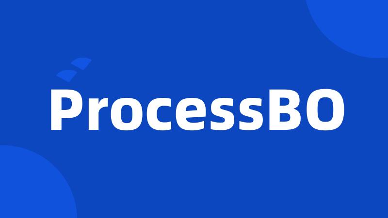 ProcessBO