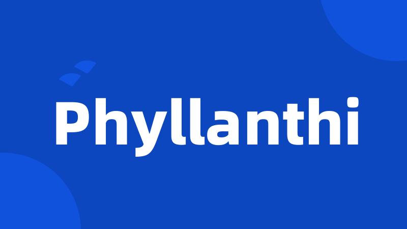 Phyllanthi