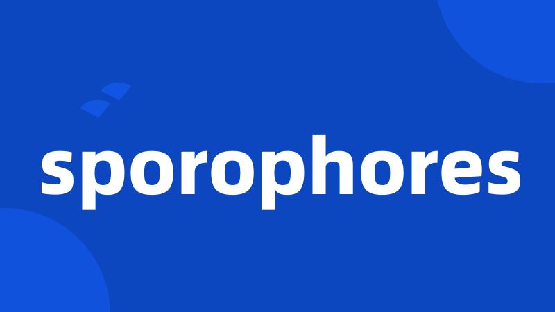 sporophores