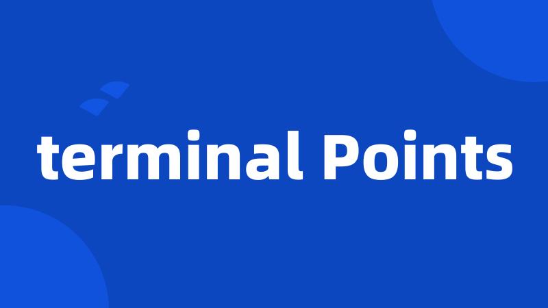 terminal Points