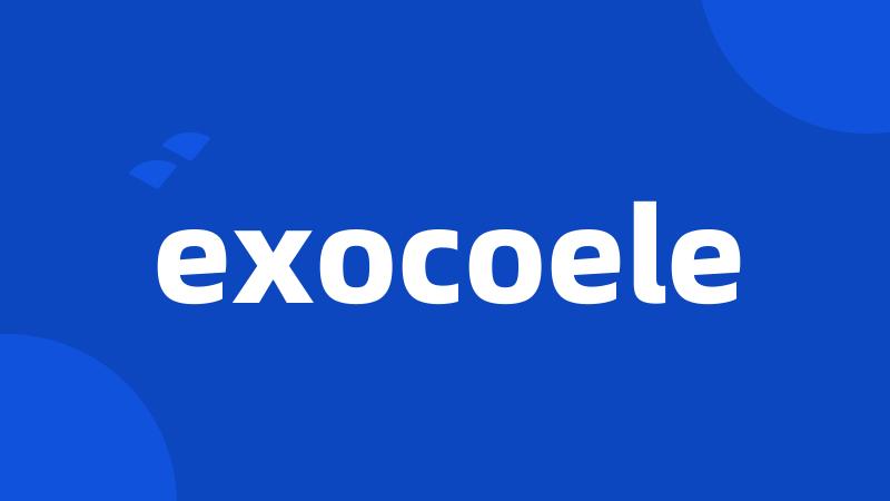 exocoele