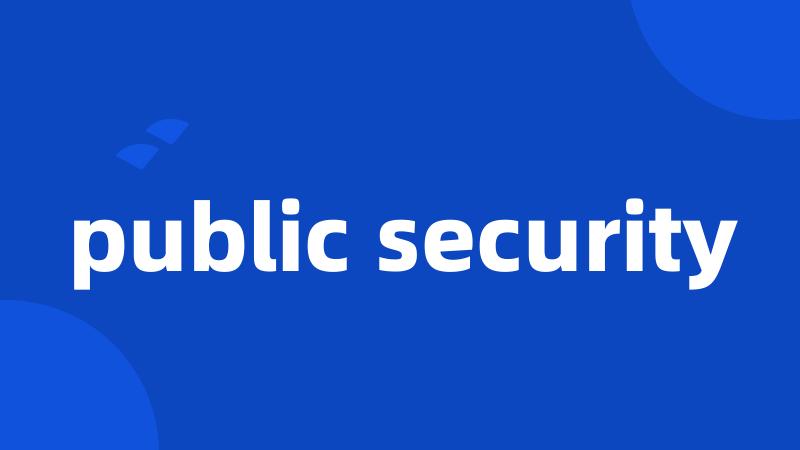 public security