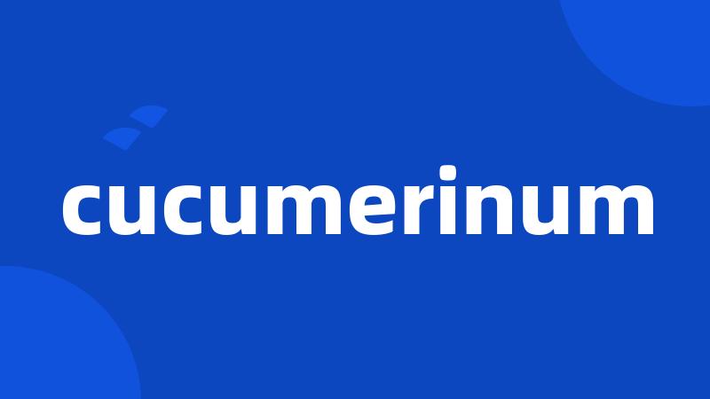 cucumerinum