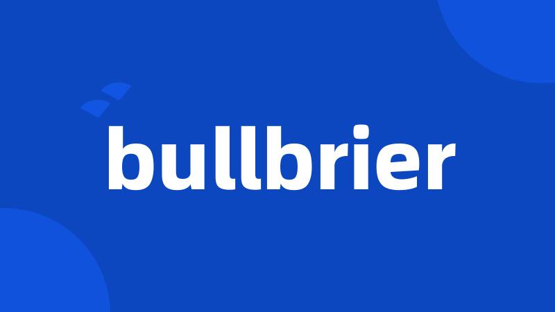 bullbrier