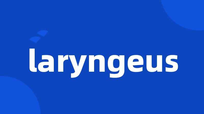 laryngeus