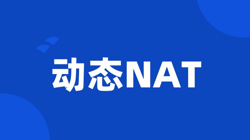 动态NAT