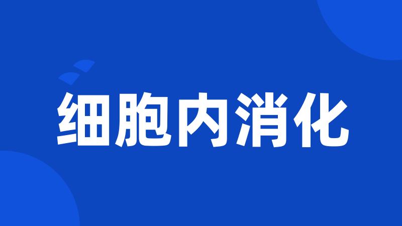 细胞内消化