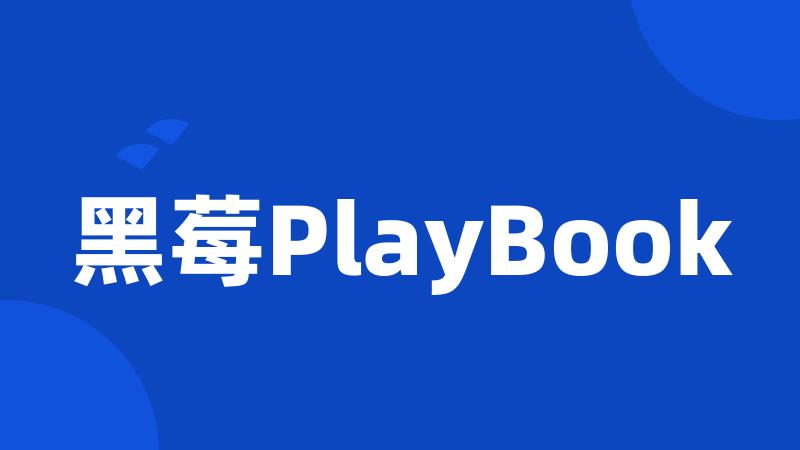 黑莓PlayBook