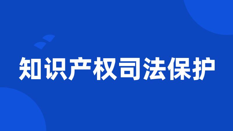 知识产权司法保护