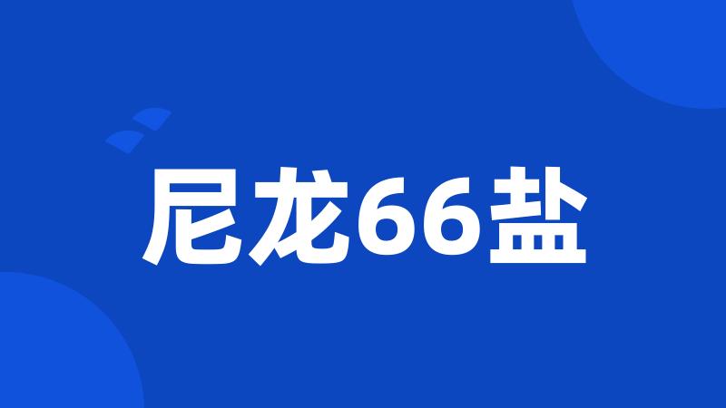 尼龙66盐