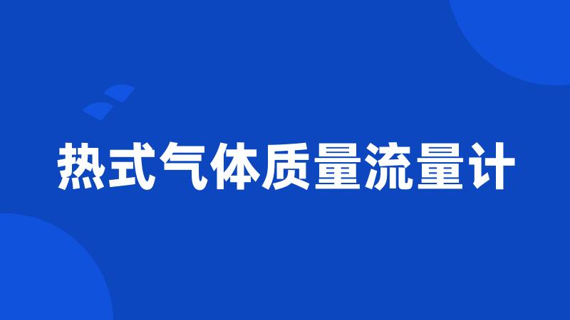 热式气体质量流量计