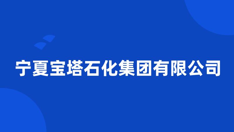 宁夏宝塔石化集团有限公司